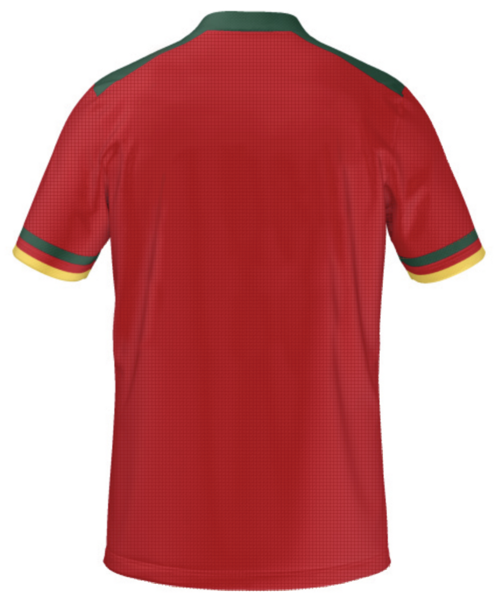 Official Cameroon FECAFOOT Green Pro Jersey XL