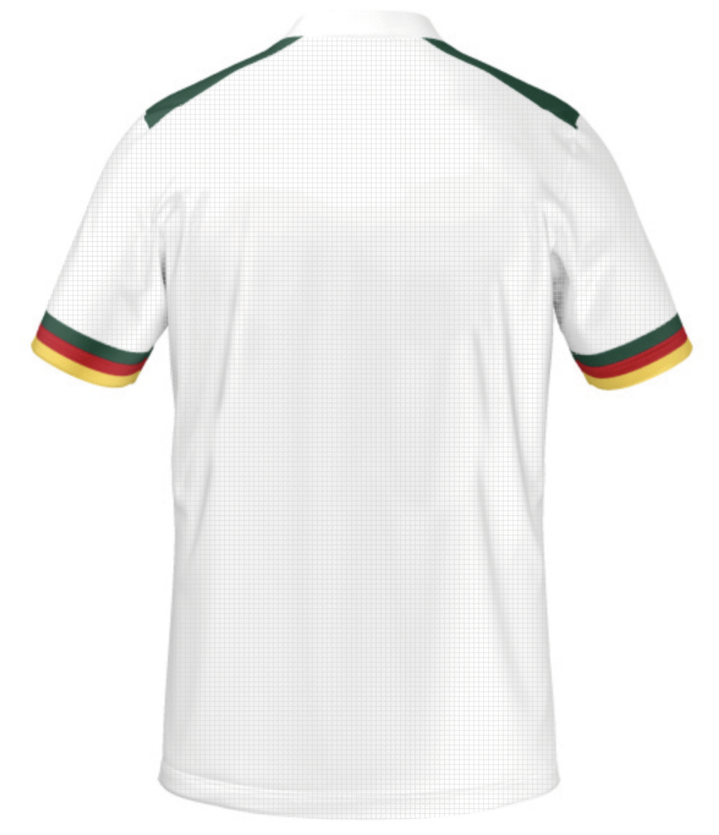 ONE Cameroon PRO XL Football Green Jersey – AIA-Market