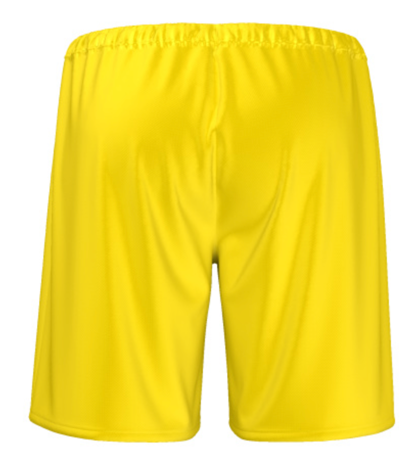 OFFICIAL CAMEROON FECAFOOT MEN SHORTS