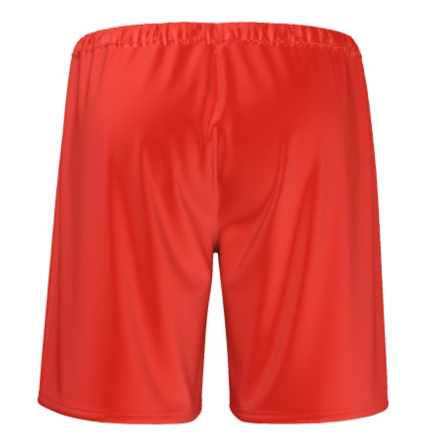 OFFICIAL CAMEROON FECAFOOT MEN SHORTS