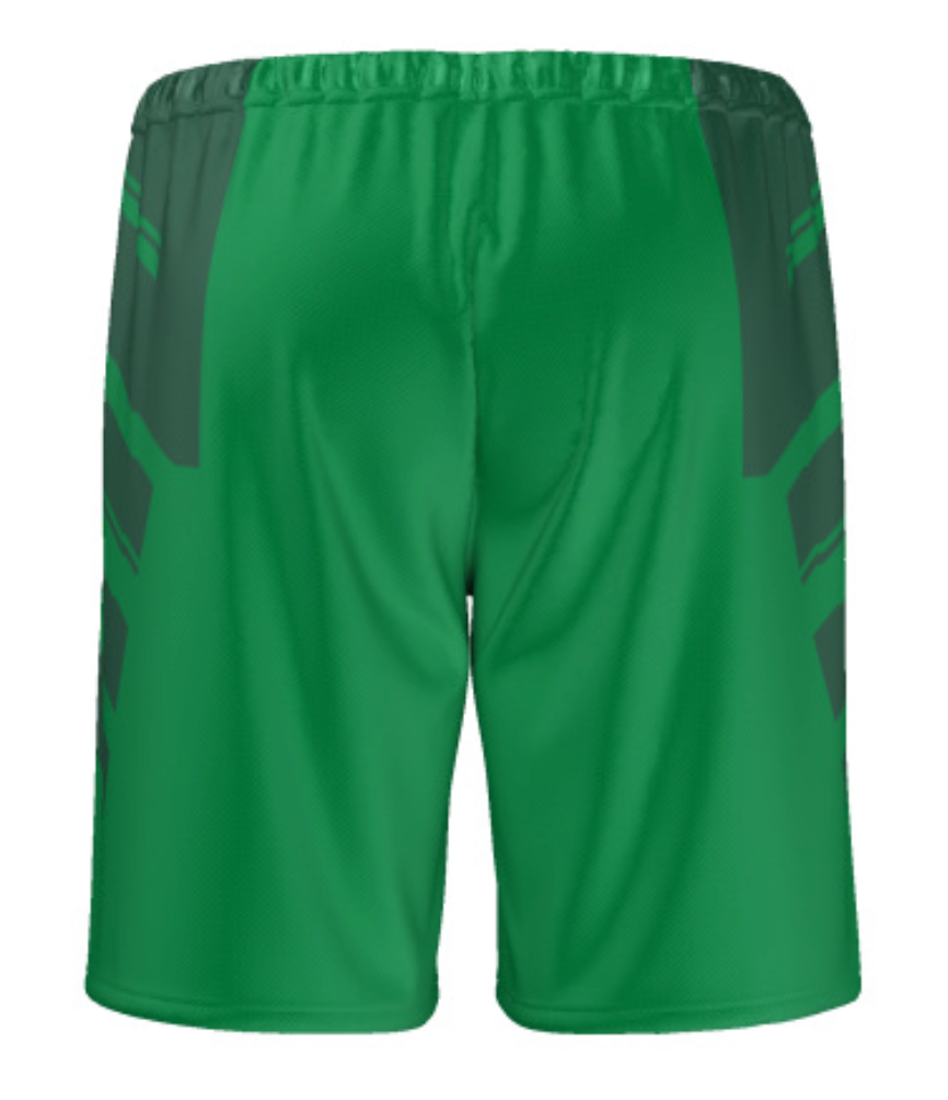 Official Cameroon FECAFOOT Green Shorts